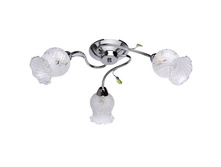 670010303 1400�.jpg