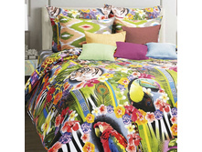 ��� Rio 1,5 �� 50*70, 1243 ���.