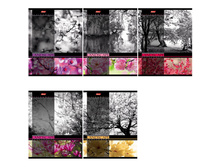 ������� 60�. �5 ������ �������� �������, ���������� ��-��� 23,11.jpg