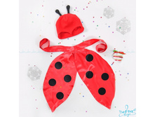 Product-Krilo-plashchik-Bozhey-korovki-cropper- a3f21f5418c19317c0d5303a5940014c.ipthumb460x460prop.jpg