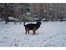 DSC09011.JPG