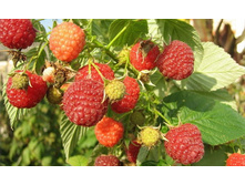 179���. ������ ������ ���17.jpg