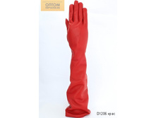 D1206 ����.jpg