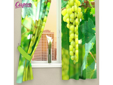 Siren fotoshtory 02978.jpg