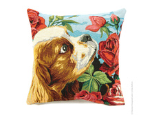 ����� ��� �������  ����  35*35