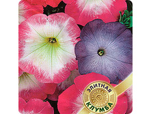 ������� F1 ������� ������ ��������. ���� 8�� �.� 18,00���.[���.��000000674]