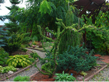 ����������� Diana 40-60�� �5-20,18