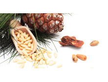 ���� ��������� ����� � �������� ������ ( �����), 200�, 210 �