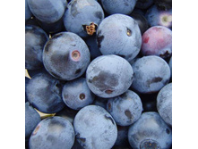 164���. �������� ������� ���16.jpg