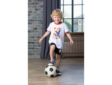 AZ-803  �������� ���� �����    216 ����