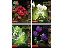 ������� 48�. �5 ������ ����� �� ������, ������ 13,71.jpg