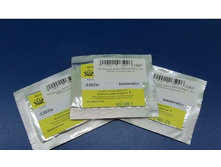 ����������� �������� ����������.jpg