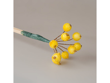 ������ ����� ������ � ������ 65 ���.jpg