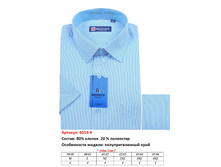 6013-4s Z* ������� �����. ����+����.������. ���. �����, BROSTEM - 550 ���