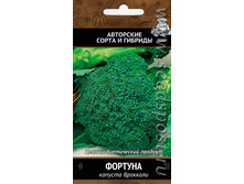 ������� ������� �������� 0,5� ����� 9,10 ���.