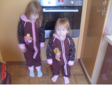 ������������ nibeda