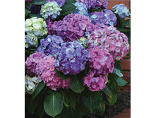 518���. ��������� �������������� �.�. ������ ���16.jpg