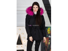 ������ ���.8800, 3100�