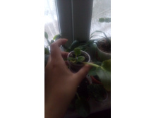 ����� � ����������