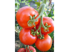 ������� ����� 30 ���..jpg