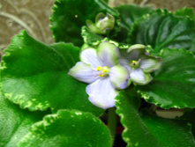 IMG 5048.JPG