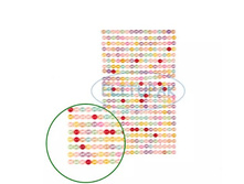 2404 ��������� ����� ������������� �� �������� ���� 5 �� 100�.JPG