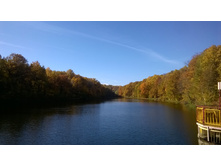 WP 20161002 10 13 57 Pro.jpg