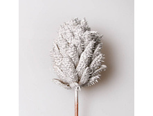 ����� �����, ������� 60 ���.jpg