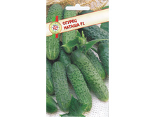 ������ ������ F1 10�� ���.��� �.� 10.00���. [���.15000003]