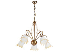 256019305 3300�.jpg