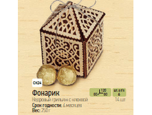 �������	��24	250� 	1100�