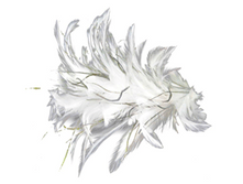 A11 301 ������ �-�� "Trestelle"79��, ����240