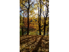 WP 20161002 10 10 18 Pro.jpg