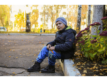 ���� ���������  ����������