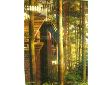 �������� ���.jpg