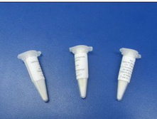 �������� ��� ���� ��������� Str. Thermophilus �� 15 � ������.jpg