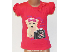 �������: 1204