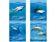 ������� 48�. �5 ������ �����, ̣� 18,68.jpg