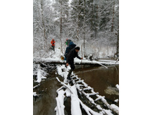 IMG 20161104 124300.jpg