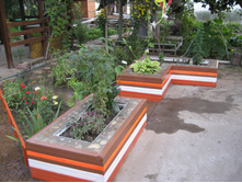 IMG 4924.jpg