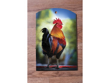 ����� ����������� ����� NY-17-1