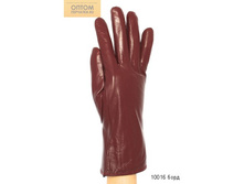 10016 ����.jpg