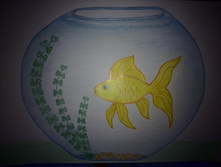 IMG 20161124 221756.jpg