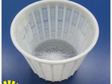 ����� ��� ���� Anelli Lodi. �� 2000 �� (2).jpg