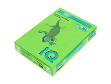 ������ IQ Color intensive �4, 80��2, 500�. (����-��̣���) 574,45.jpg