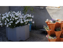 ����� �������