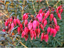 161���. ����� �������� ������ ���17.jpg