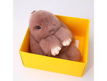 kr008 ����������