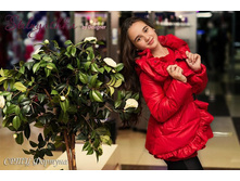 ���. ����