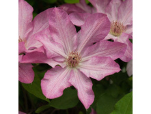 185���. �������� ������ ���17.jpg